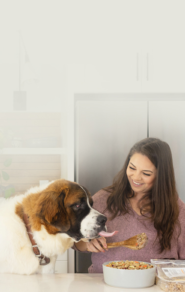 A St Bernard sticking its tongue out trying to lick the spoon while the pet parent dishes just food for dogs turkey and whole wheat macaroni recipe into a bowl